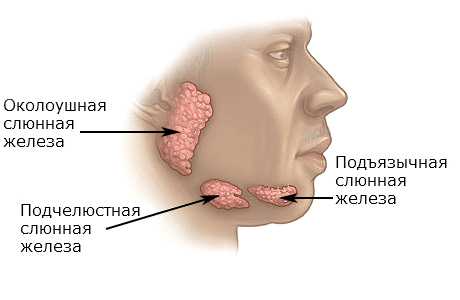 Острые заболевания слюнных желез лечение в Ильинской больнице.