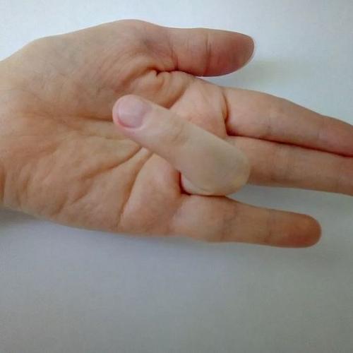 Что такое палец